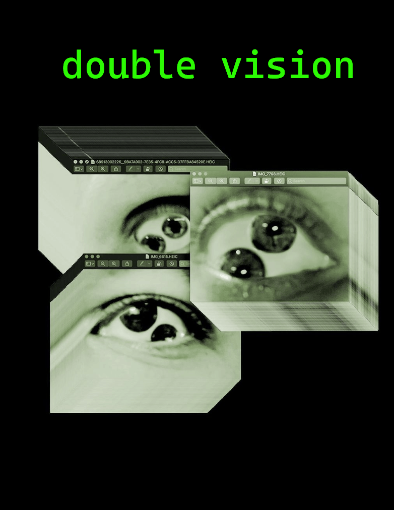 Double Vision The Screening Room