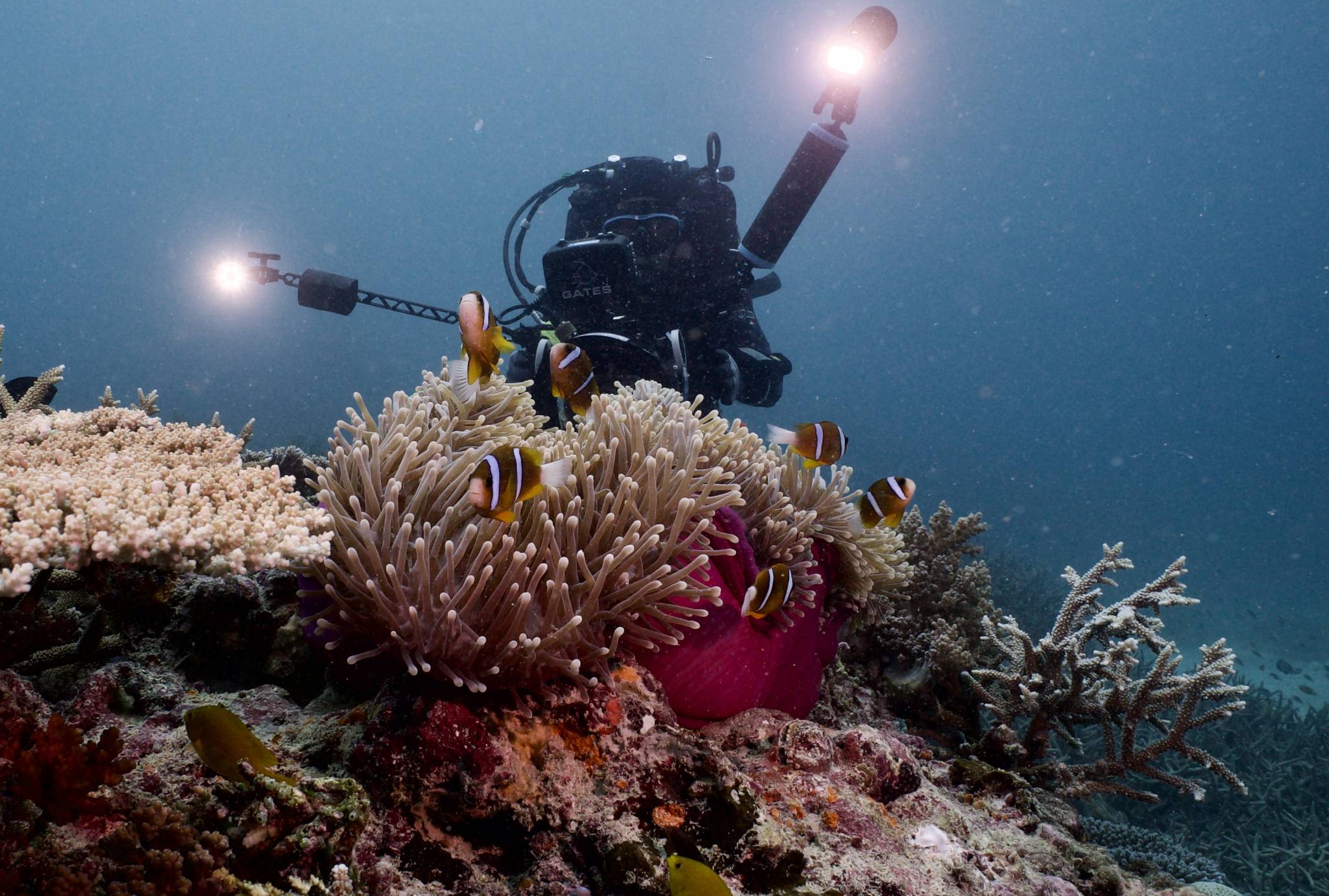 Screen Queensland Studios, Cairns