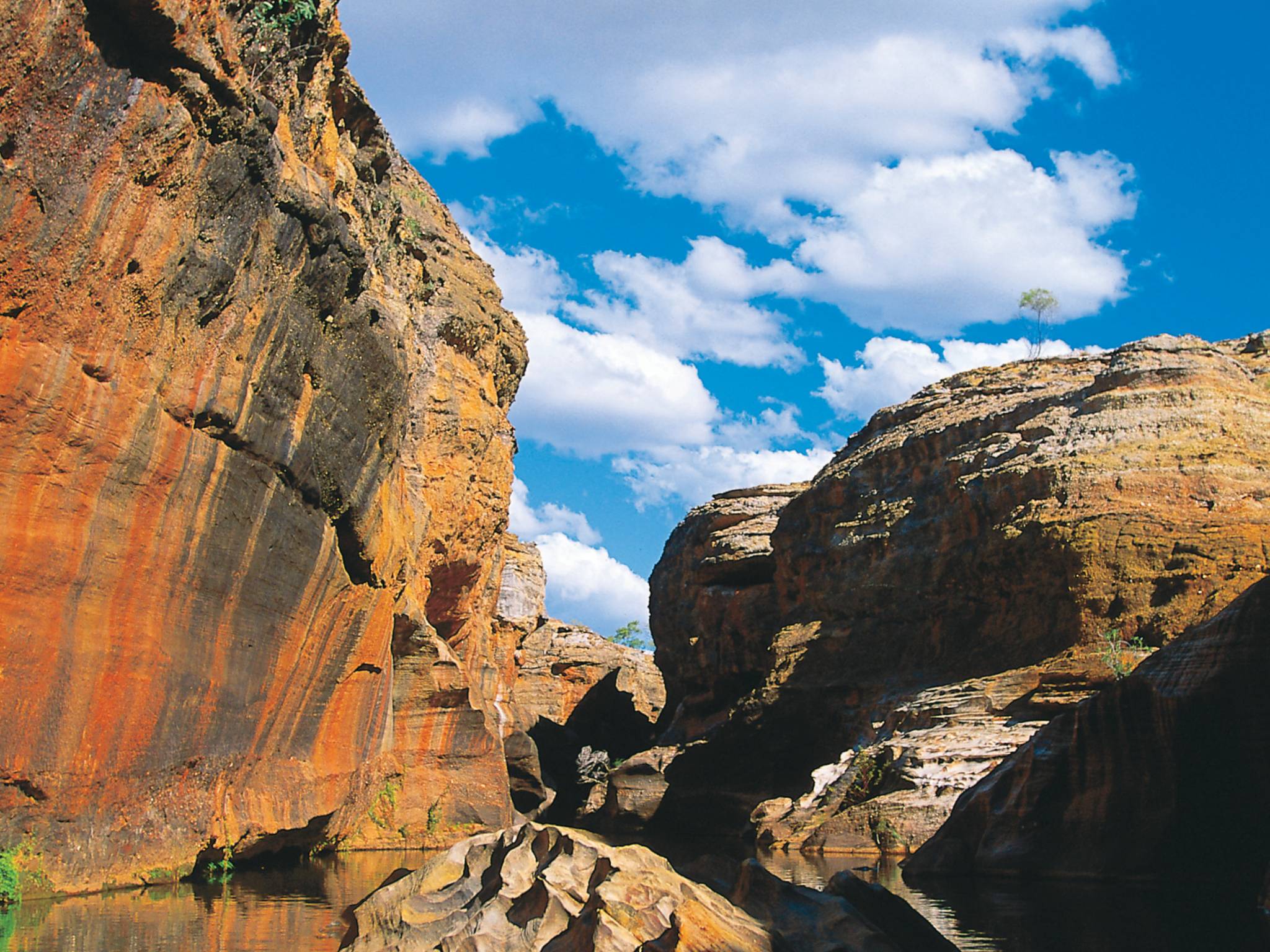 Screen Queensland Studios, Cairns
