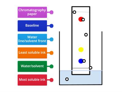 chromatography - Teaching resources