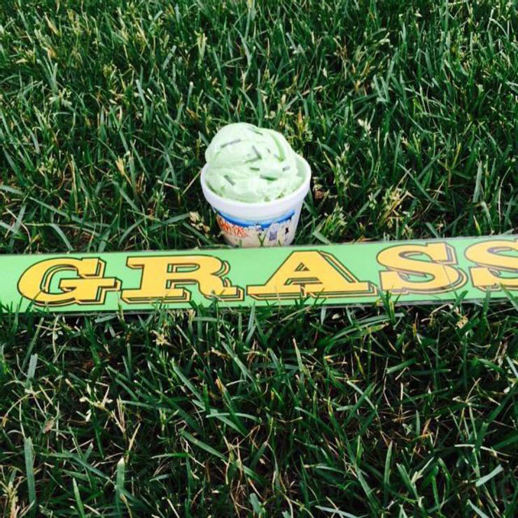 20 weird ice cream flavours that will TERRIFY your taste