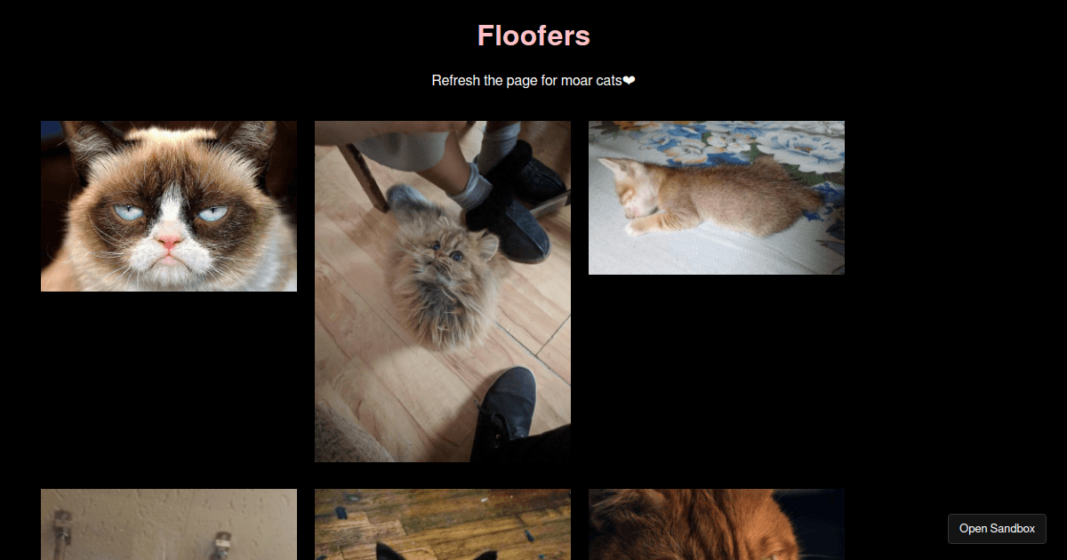 Cats Codesandbox