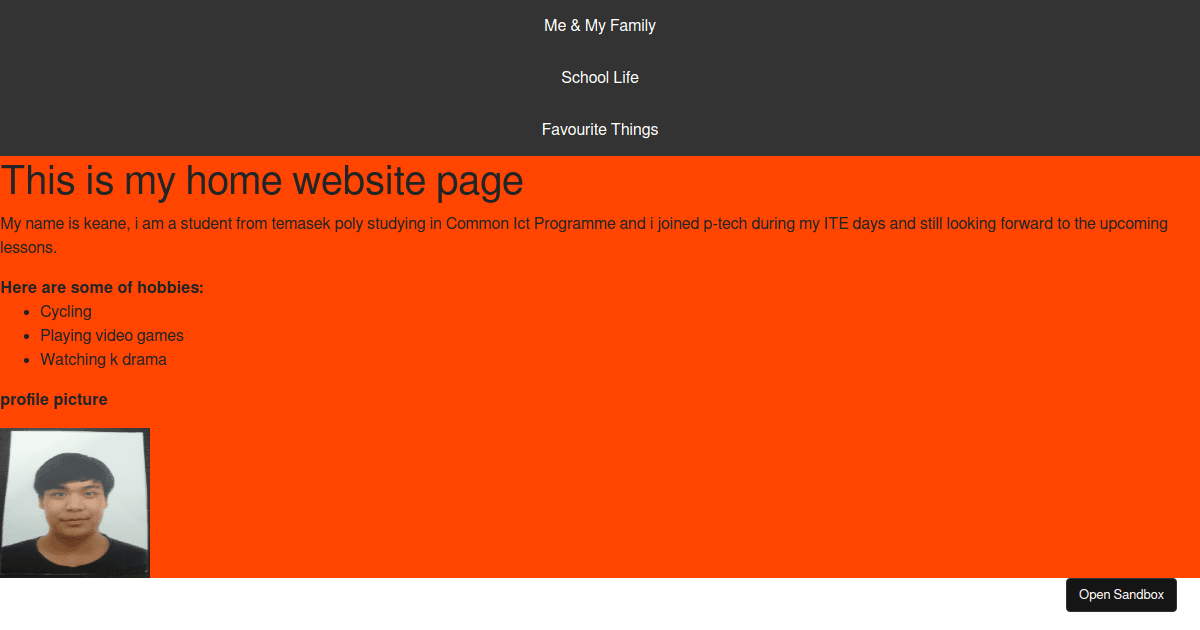 Home page me & my family Codesandbox