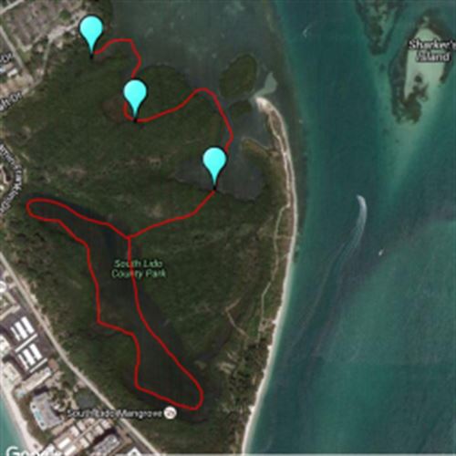 Lido Mangrove Tunnels Map Lido Beach Mangrove Tunnels Scribble Maps