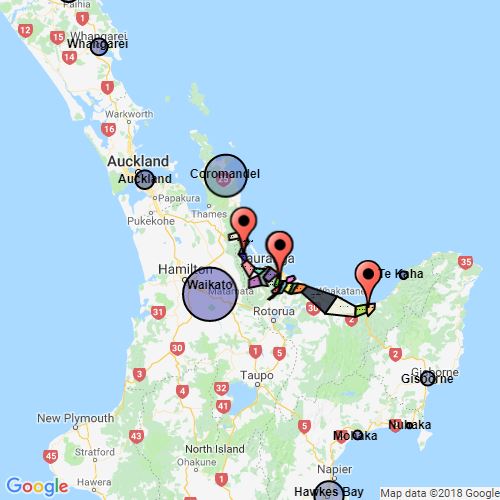 Te Puke Scribble Maps