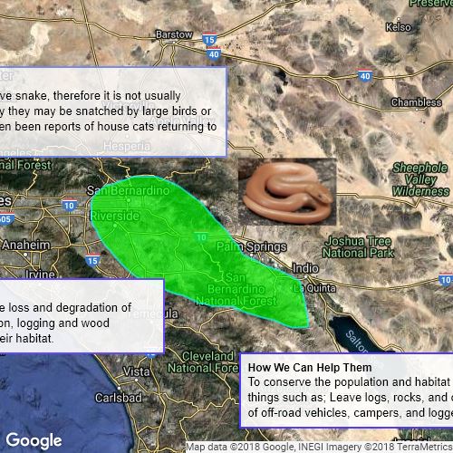 Southern Rubber Boa Map Scribble Maps