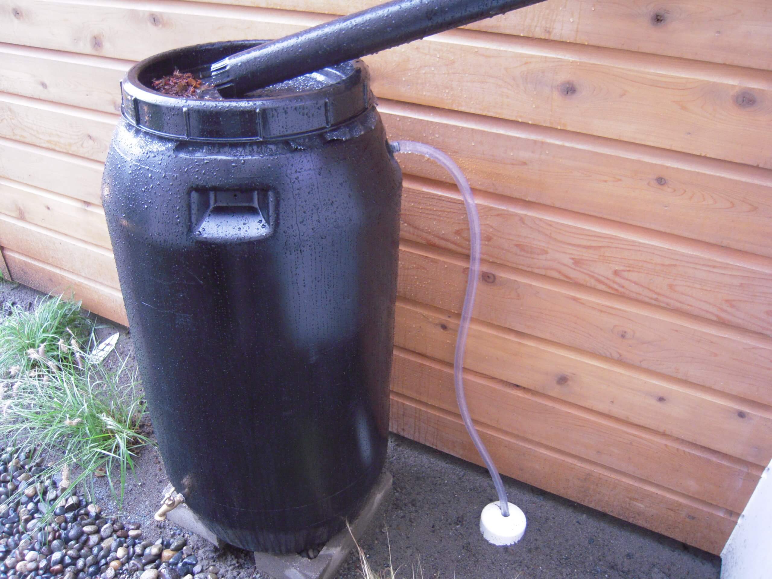 Do Rain Barrels Really Work? Scribeware Home Inspection Report Software