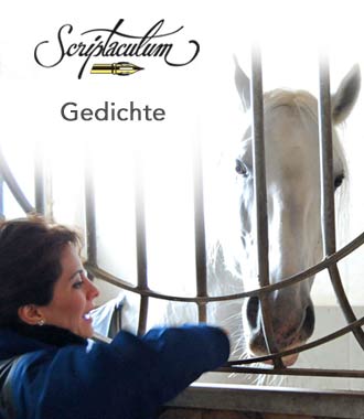 Scriptaculum - Gedichte, Zitate, Etc. 380_x_330_jpg