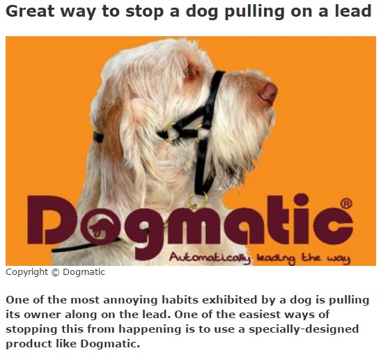 Why Say Dogmatic?