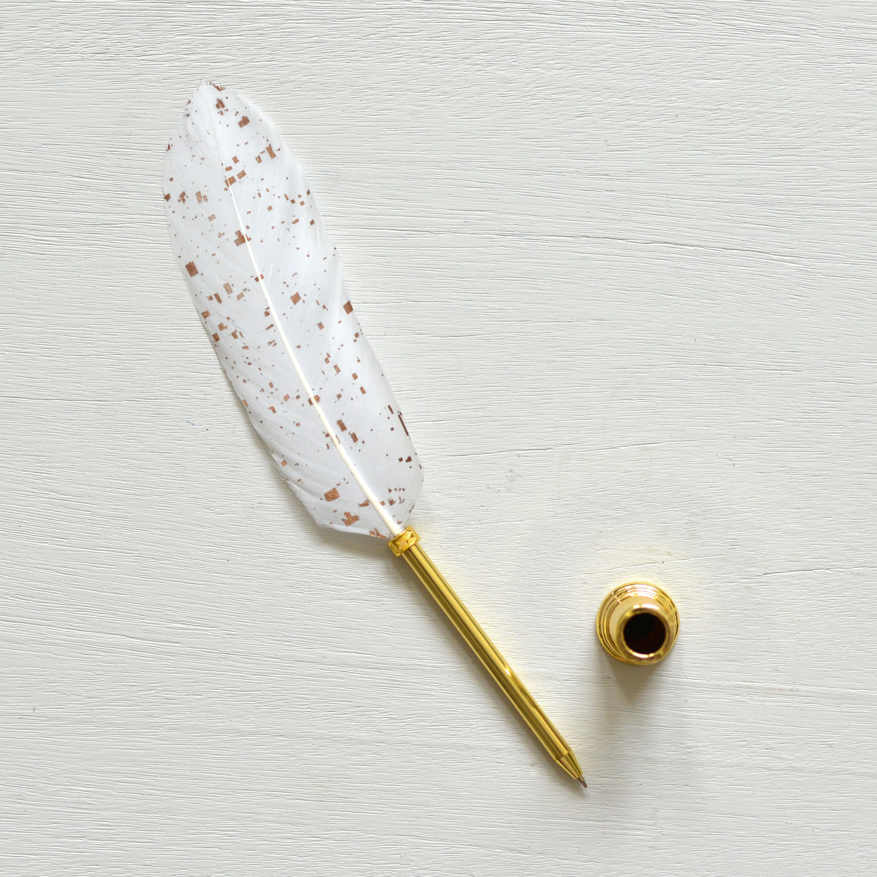 White feather quill Scriptura