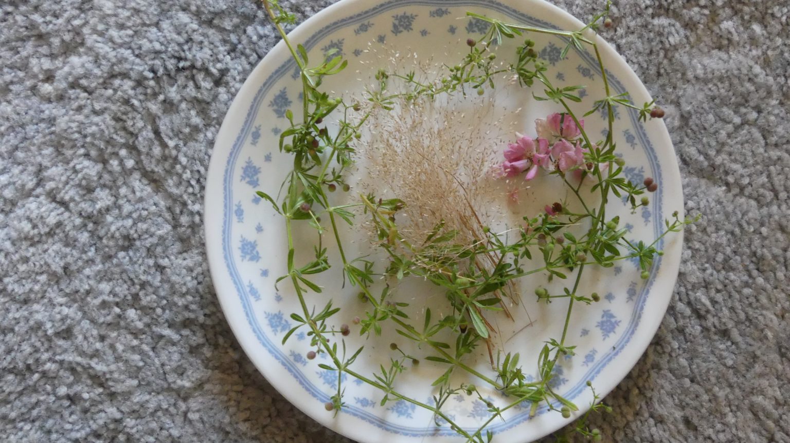 Cleavers Scriptural Nuggets