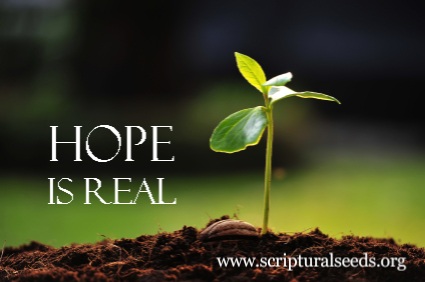 July 3rd 2019 Hope Is Real Scriptural Seeds Ministries