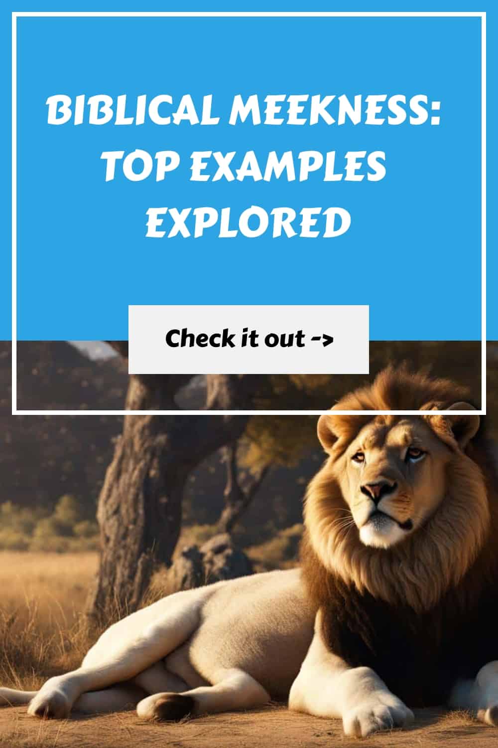 Biblical Meekness Top Examples Explored Scriptural Thinking