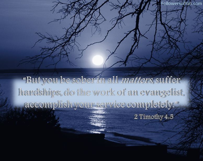 Scripture Scripture and Inspiration designed by