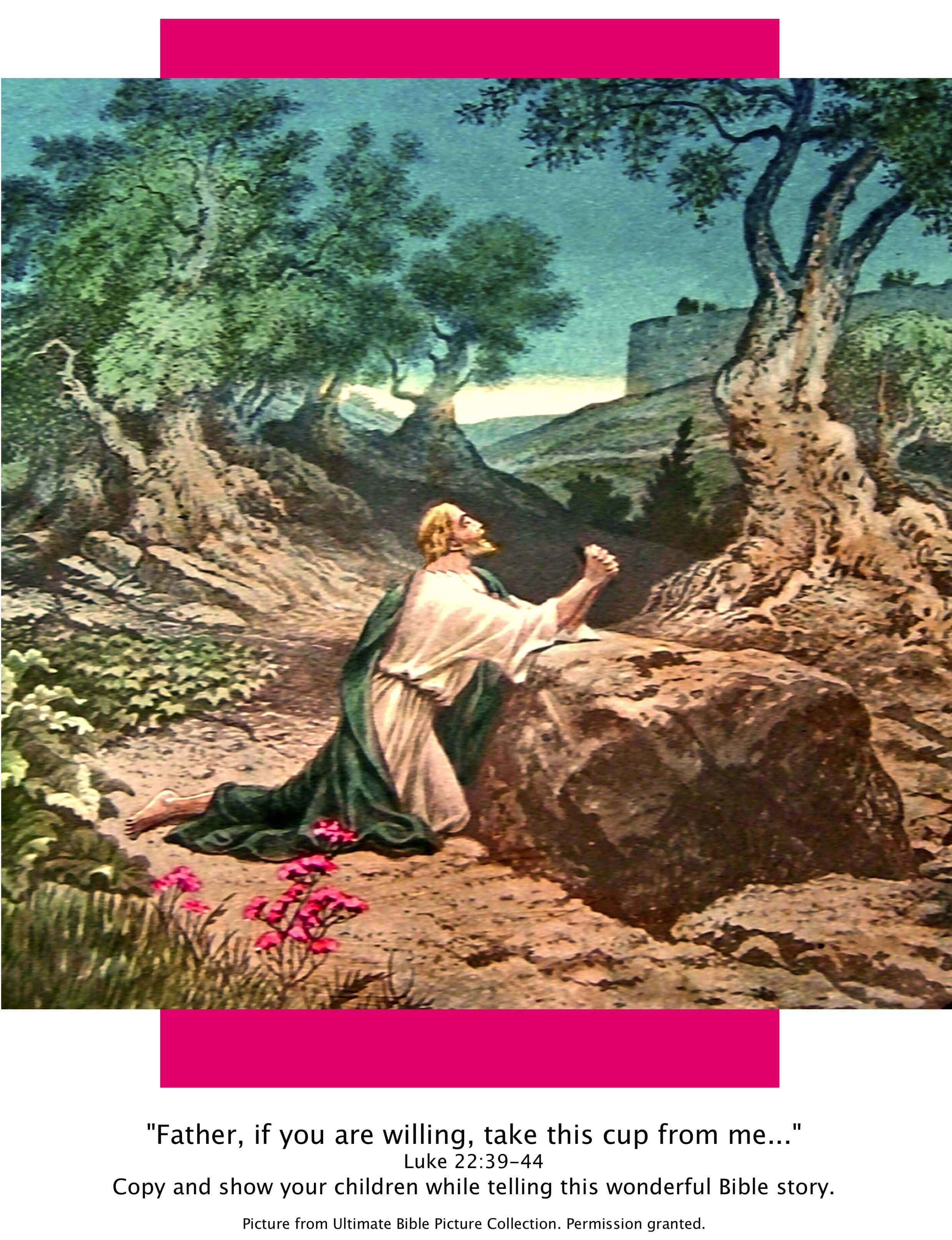 Bible Story Pictures Jesus in the Garden of Gethsemane The Scripture