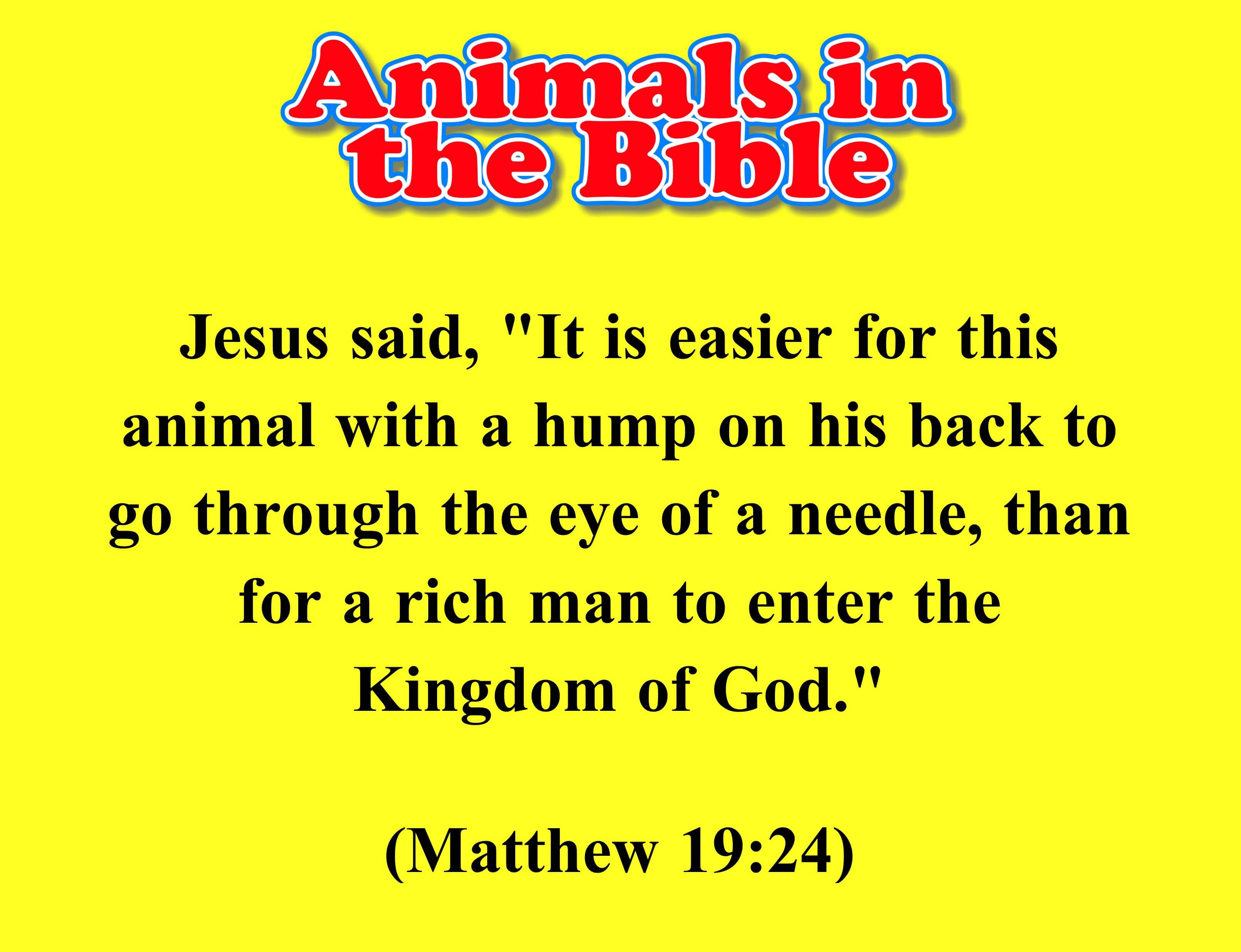Animals in the Bible Camel The Scripture Lady