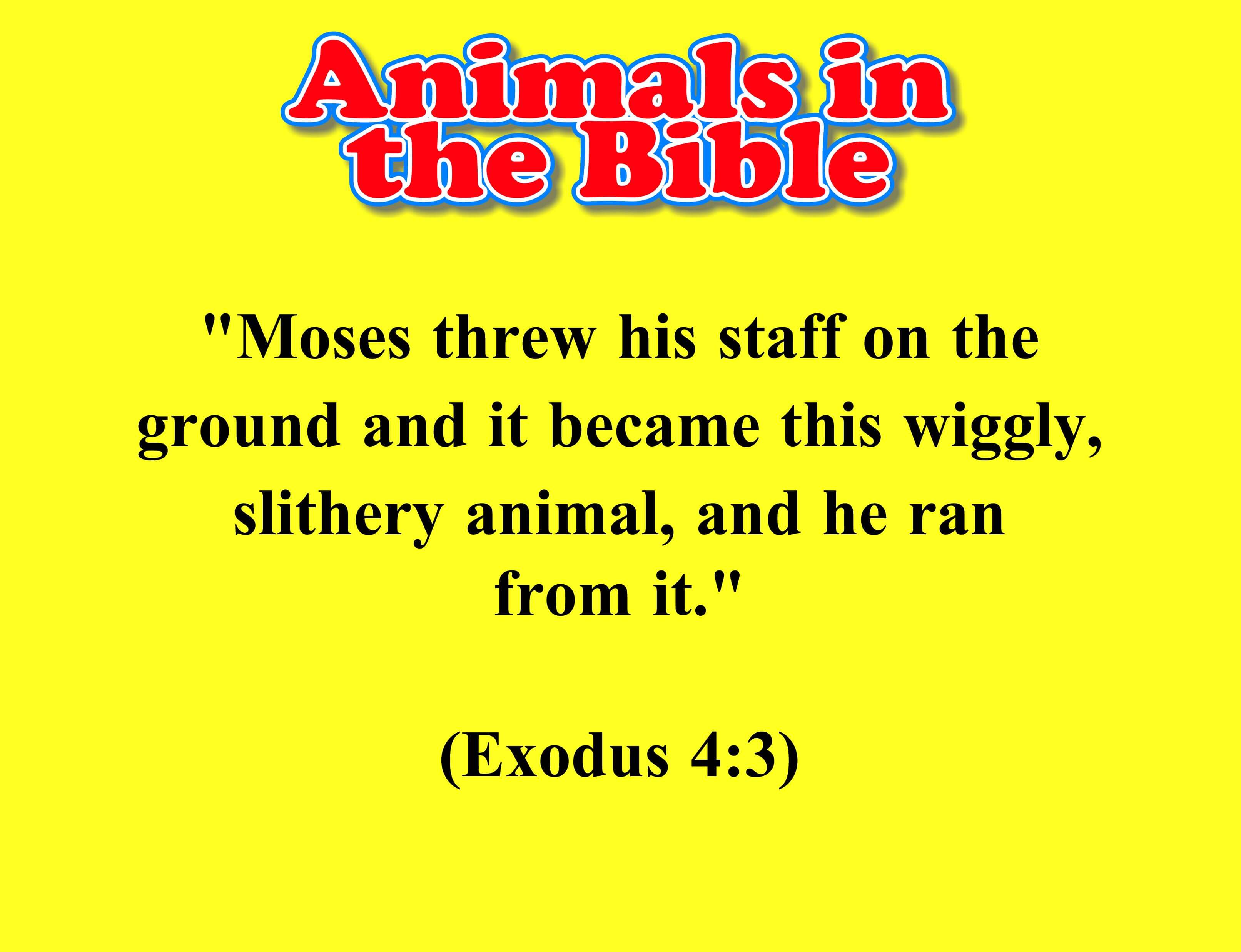 Animals in the Bible Snake The Scripture Lady