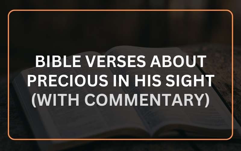 26 Bible Verses about You are Precious in His Sight (With Commentary