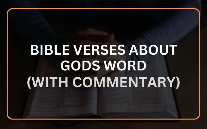 Top 20 Bible Verses About God’s Word (With Commentary) Scripture Savvy