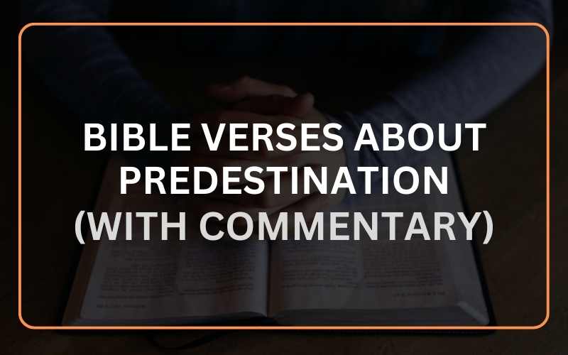 20 Important Bible Verses About Predestination (With Commentary