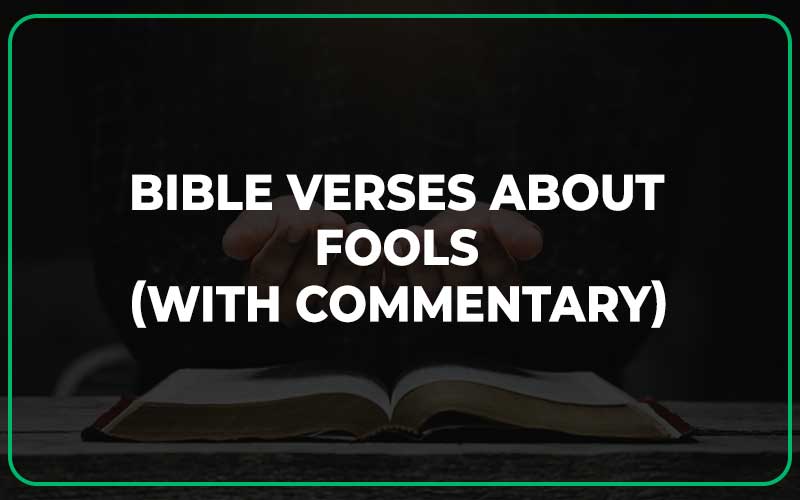 23+ Bible Verses About Fools (With Commentary) Scripture Savvy