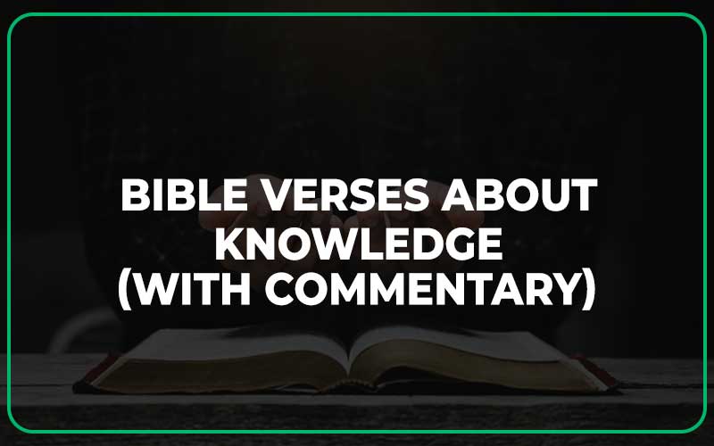 30 Important Bible Verses About Knowledge (With Commentary) Scripture Savvy