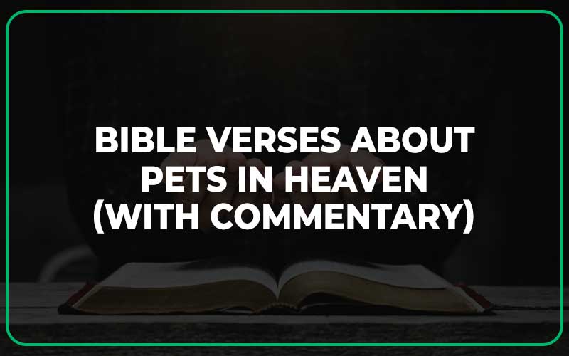 25 Bible Verses About Pets In Heaven (With Commentary) Scripture Savvy