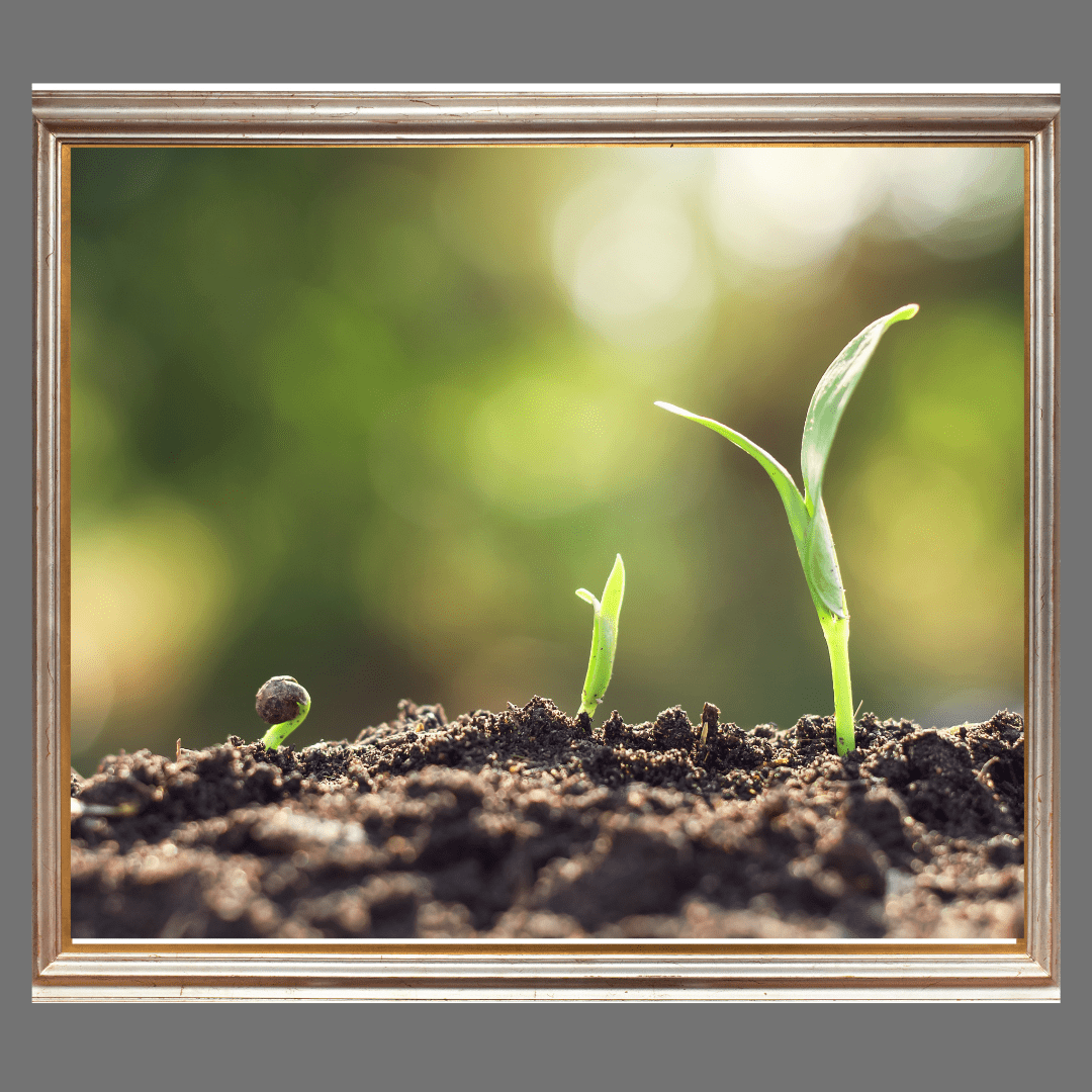 20 Examples of New Beginnings in the Bible!