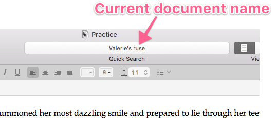 Quick Search Bar and Word Count Scrivener Classes