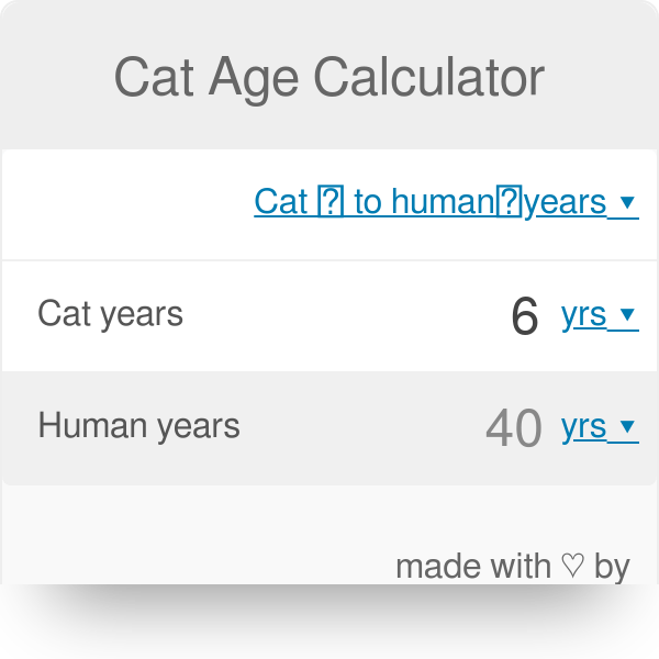 Arábica Mamá Edad adulta cat years to human years calculator suspender ambiente Caucho