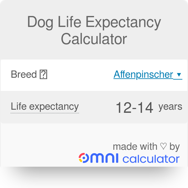 Can A Dog Live 18 Years