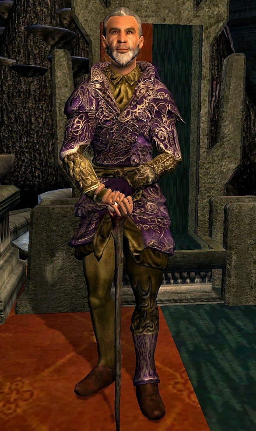 Elder Scrolls Mages Guild Guide Scrolls Guided