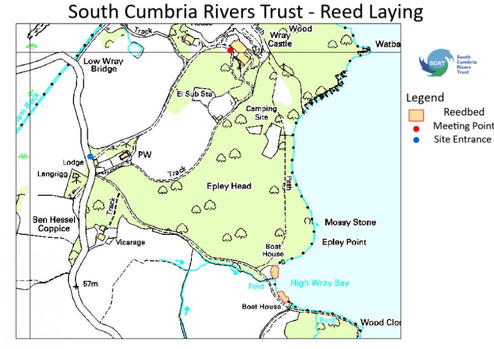 Reedbed restoration Wray Castle SCRT