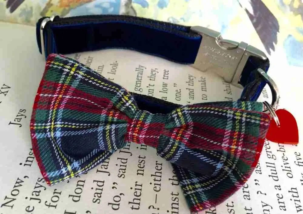 Dougal McHandsome Tartan Bow Tie Dog Collar Scrufts
