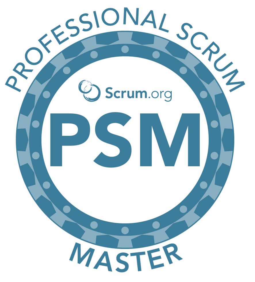 Professional Scrum Master
