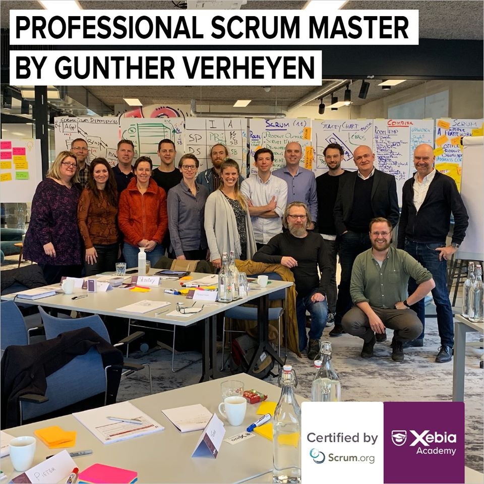 Professional Scrum Master