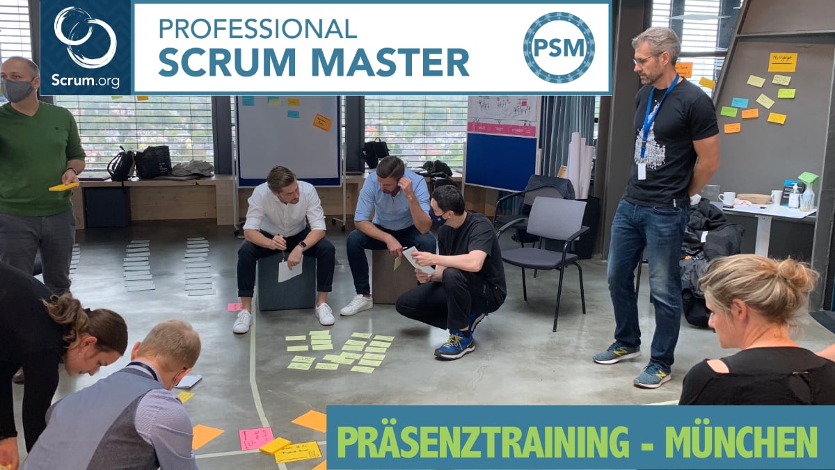 Professional Scrum Master