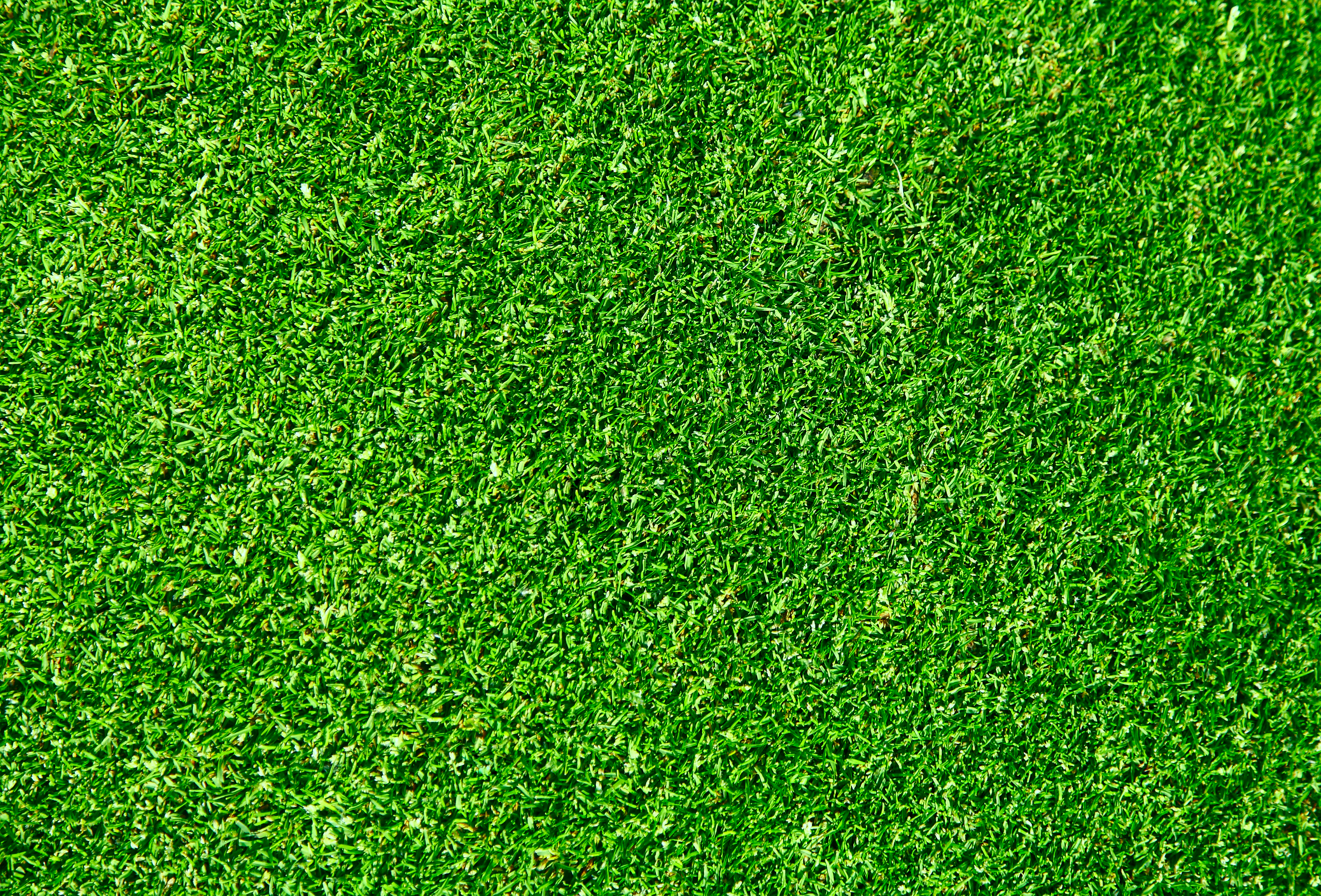 grass textured wallpaper 2017 Grasscloth Wallpaper