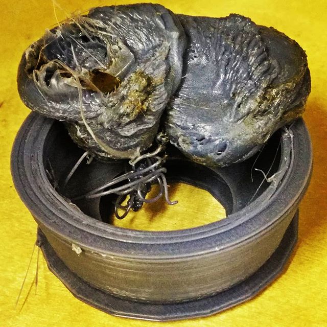 I think the 3d printer wanted to make a model of the Chernobyl Elephant’s Foot We Saw a Chicken