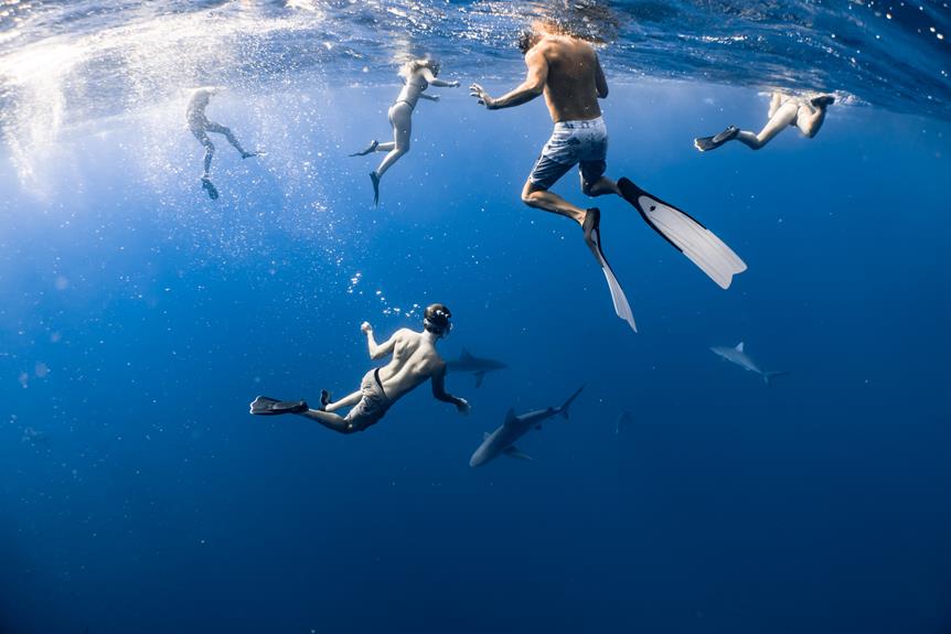Can I Dive With Sharks While Menstruating? SD.