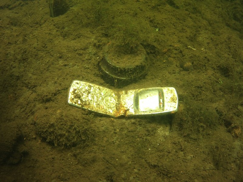 American eel, Lake Quassapaug, CT ScubaBoard