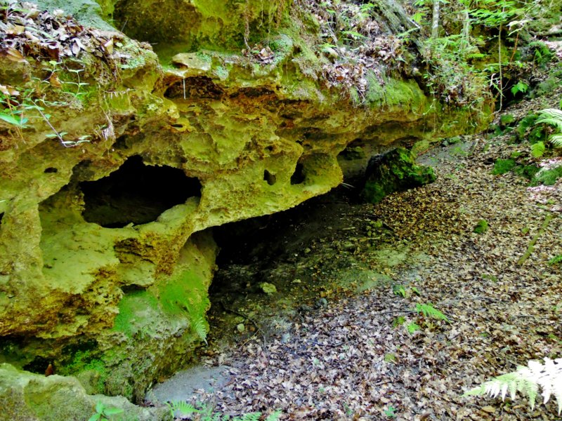 For Sale 8+ Acres with Dive Cave for Sale North Florida ScubaBoard