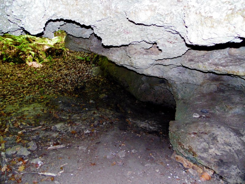 For Sale 8+ Acres with Dive Cave for Sale North Florida ScubaBoard