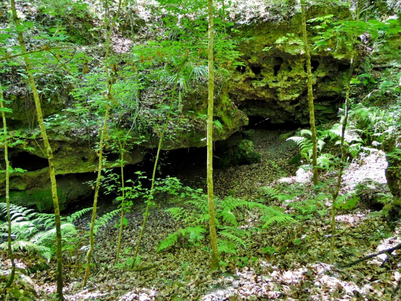 For Sale 8+ Acres with Dive Cave for Sale North Florida ScubaBoard