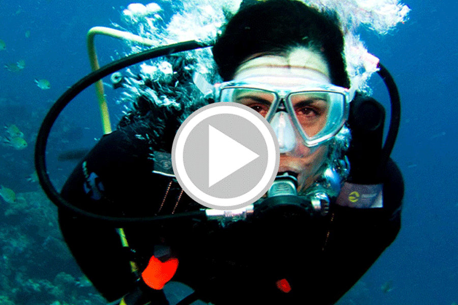 The golden rules of what not to do when scuba diving. Part common sense