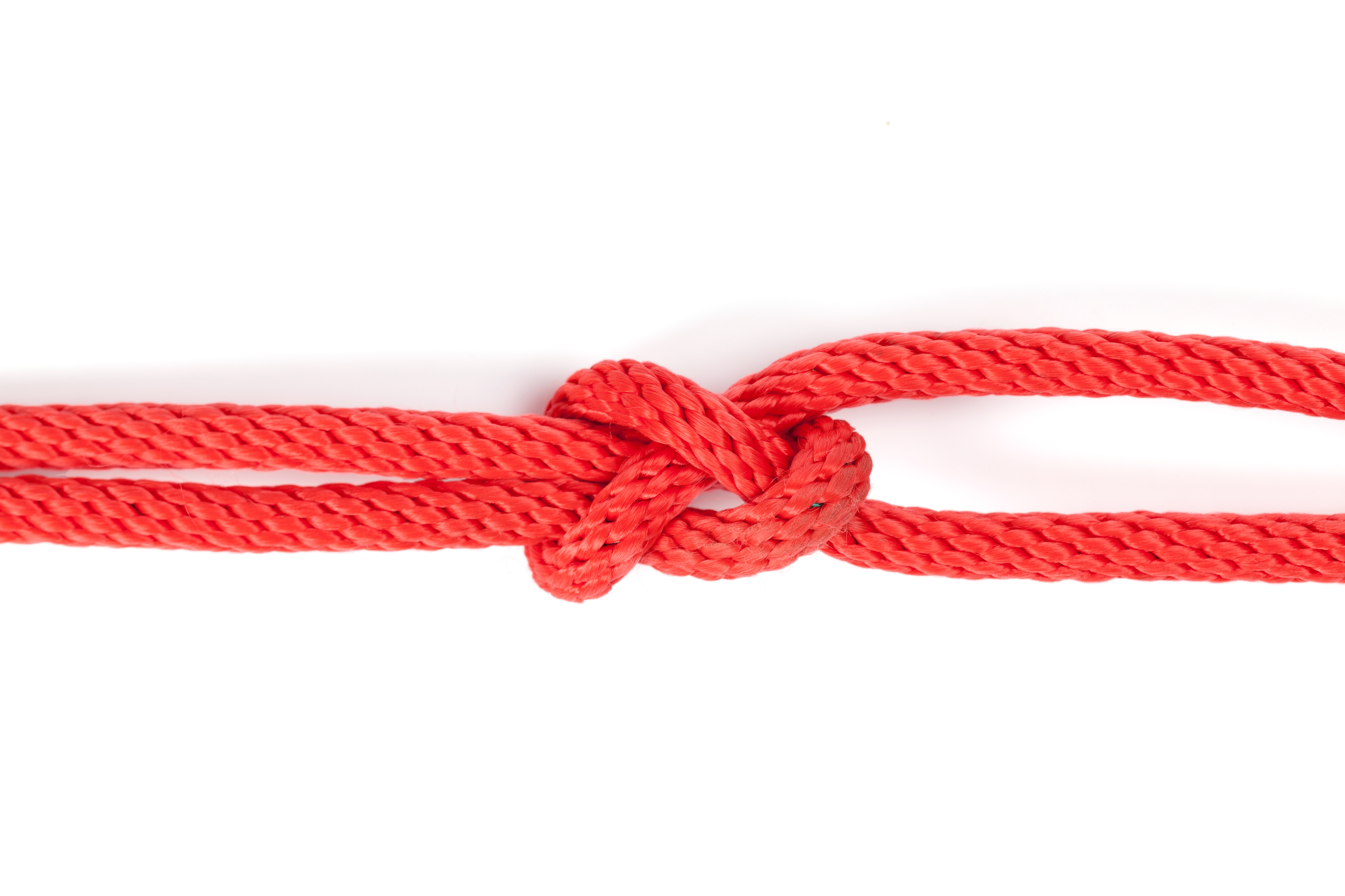Five Essential Knots Every Diver Should Know • Scuba Diver Life