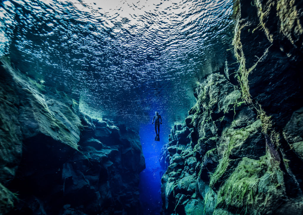 The World’s Best Cold Water Scuba Diving • Scuba Diver Life