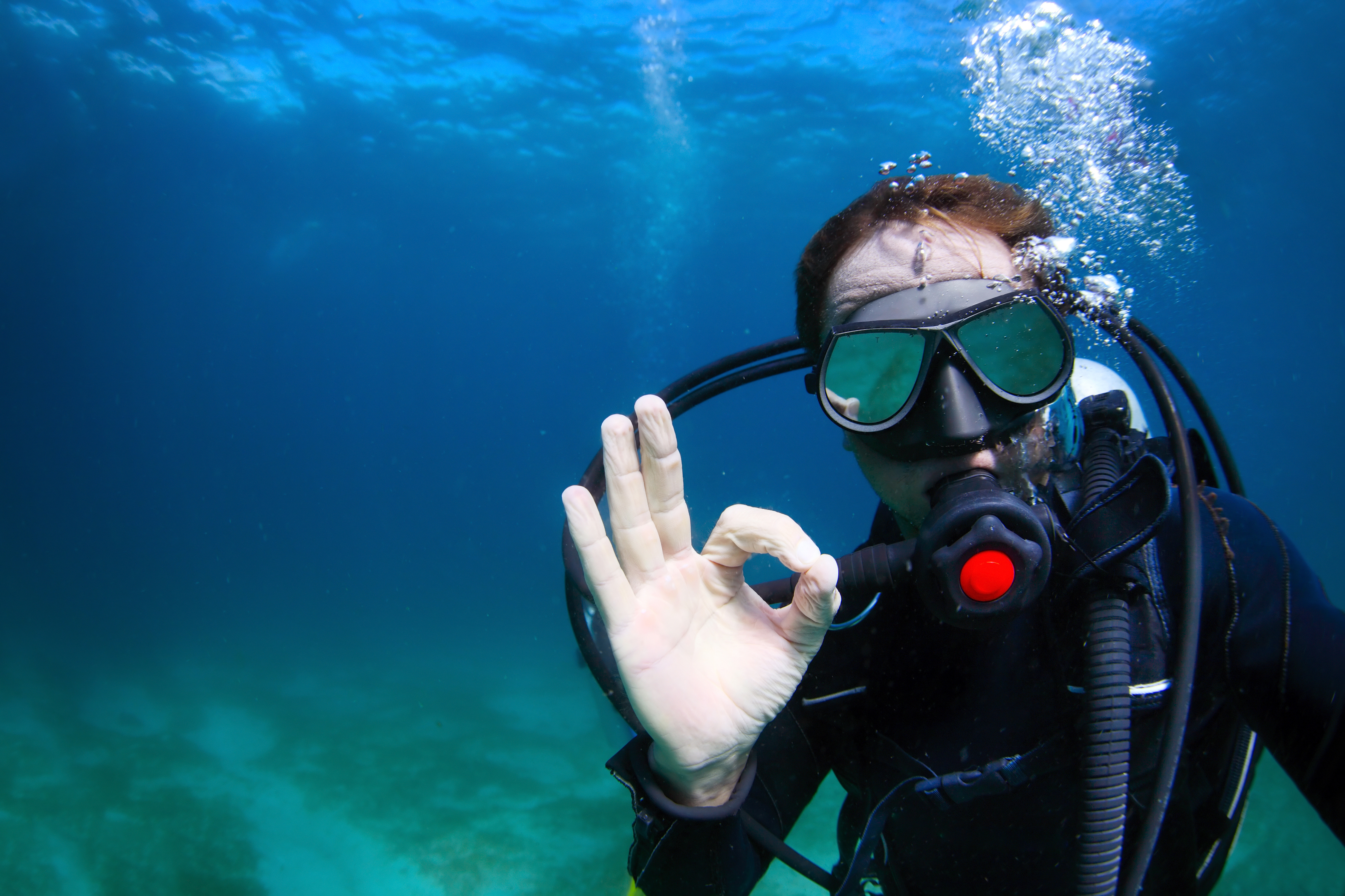 Diving with a Dive Guide • Scuba Diver Life