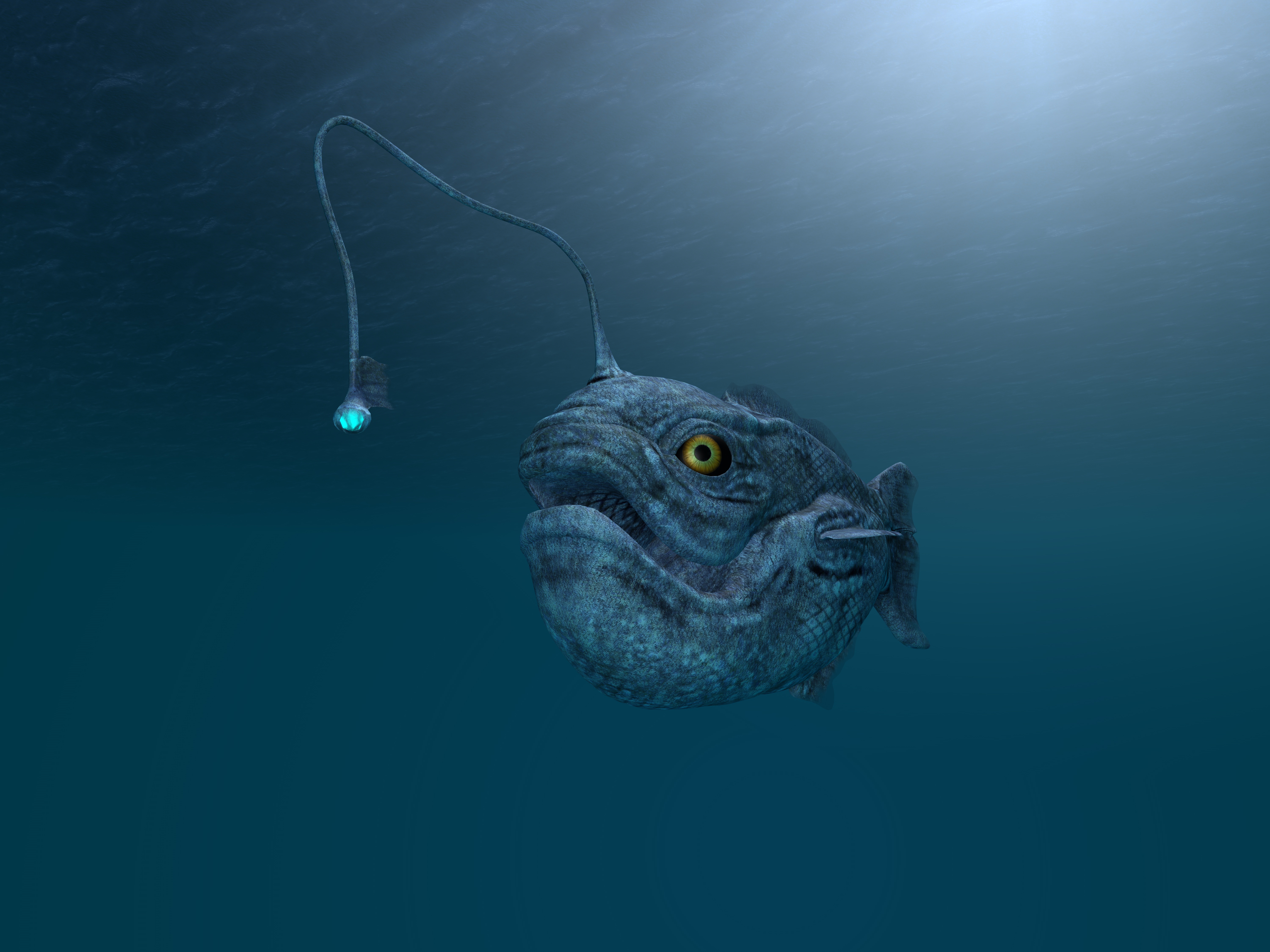 Eight Ugliest Ocean Creatures • Scuba Diver Life