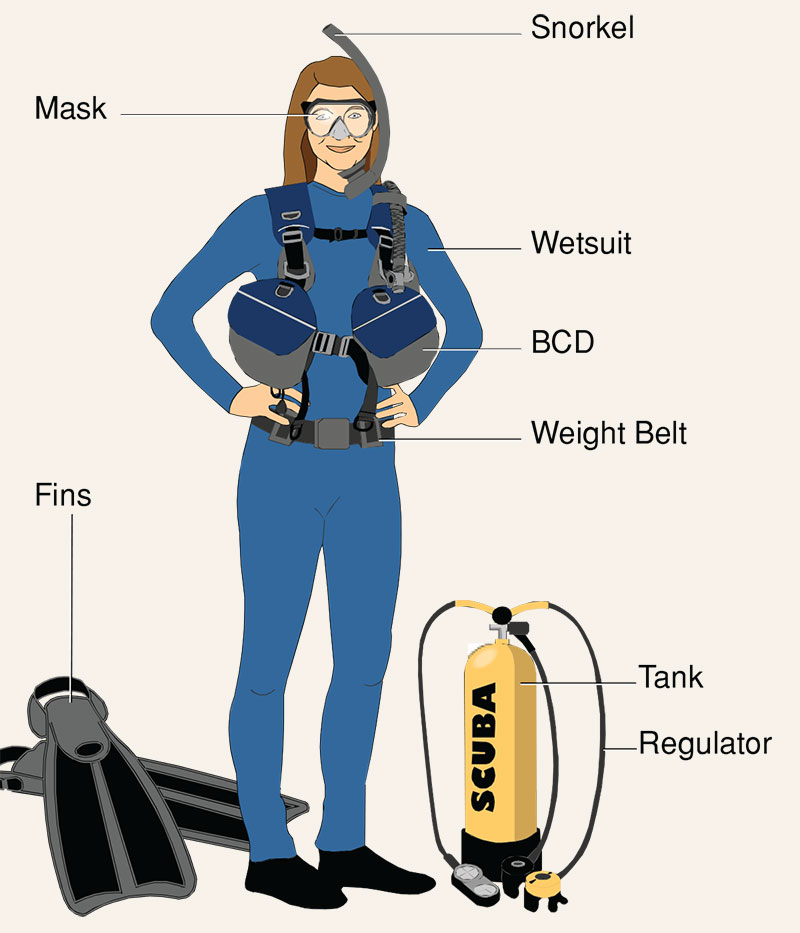 Gear Rentals Scuba Dogs